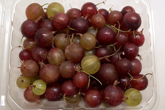 Gooseberries for Cherry Gooseberry Jam