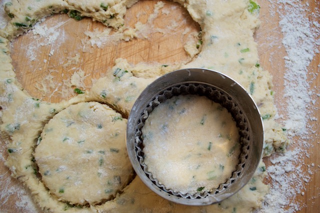 Rolled Out and Cut Dough for Chive Biscuit Recipe