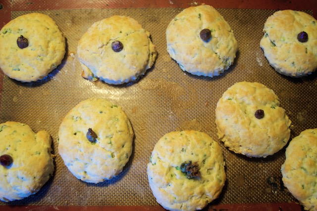 Chive Biscuits after they've been baked in
                     the Oven
