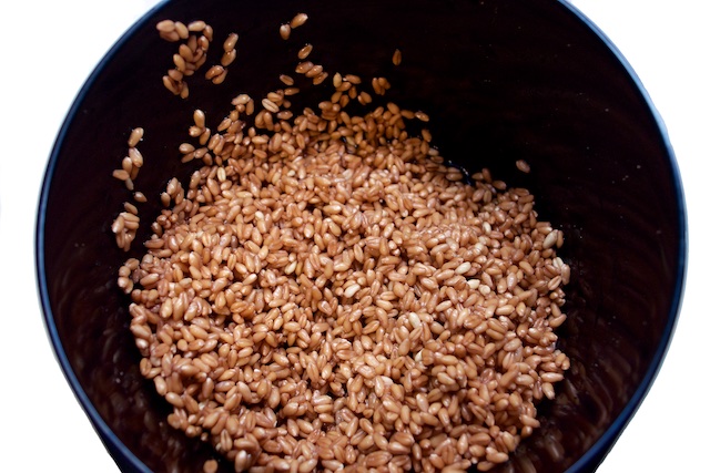 Soaked Wheat Berries for Pastiera Recipe