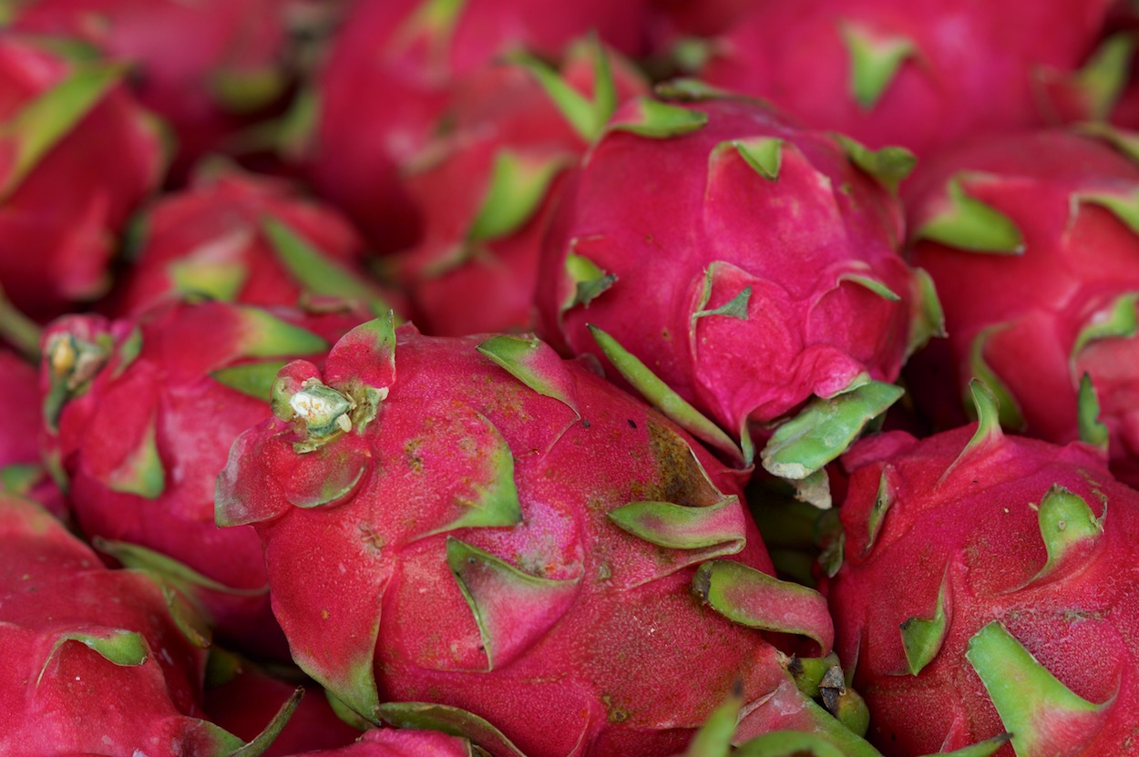 Dragon Fruit in Elmhurst, Queens