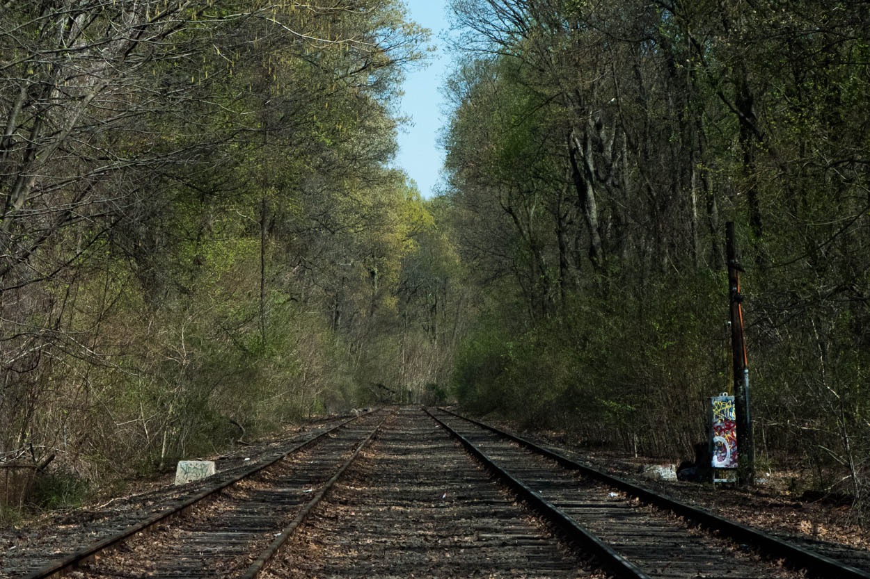 LIRR railroad tracks and trees in Forest
                     Park in Woodhaven, Queens