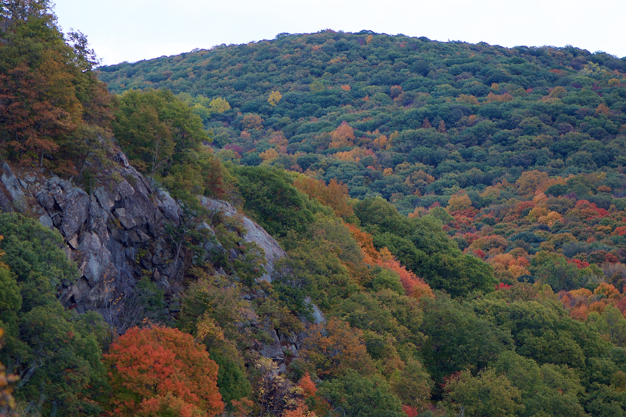 View of Fall Foliage from the top of Breakneck Ridge, New York