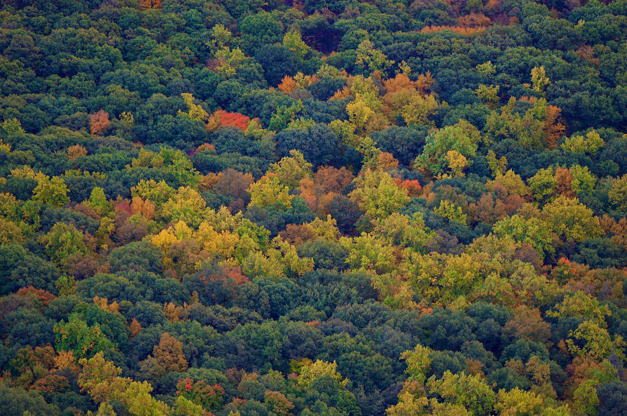 View of Fall Foliage from the top of Breakneck Ridge, New York