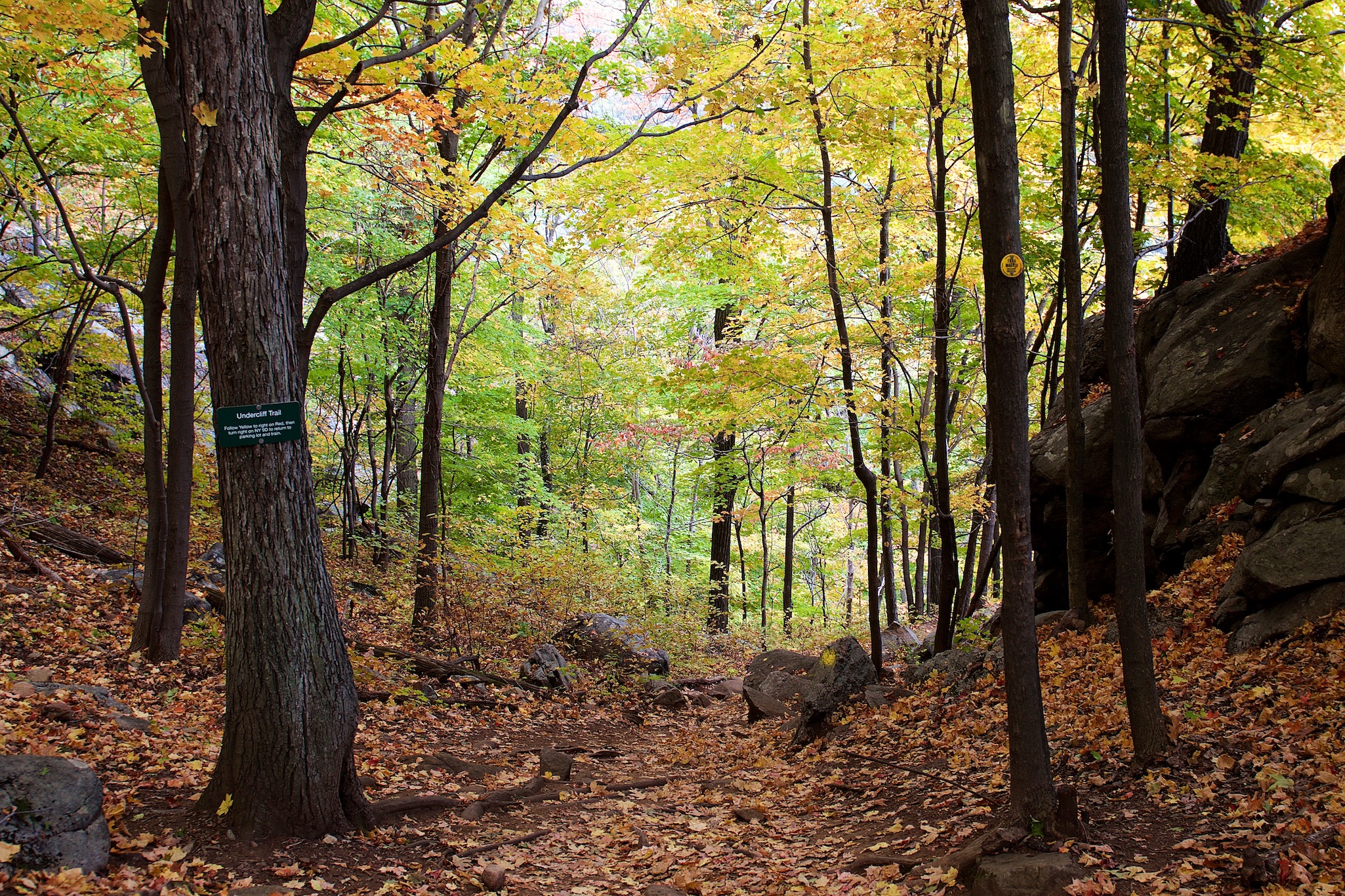 Hiking Path in Breakneck Ridge, New York
