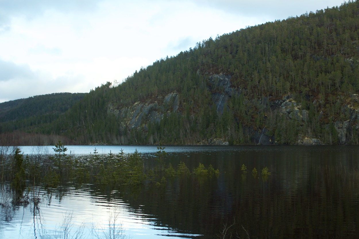 Reflection of mountain in lake in Fosen, Norway