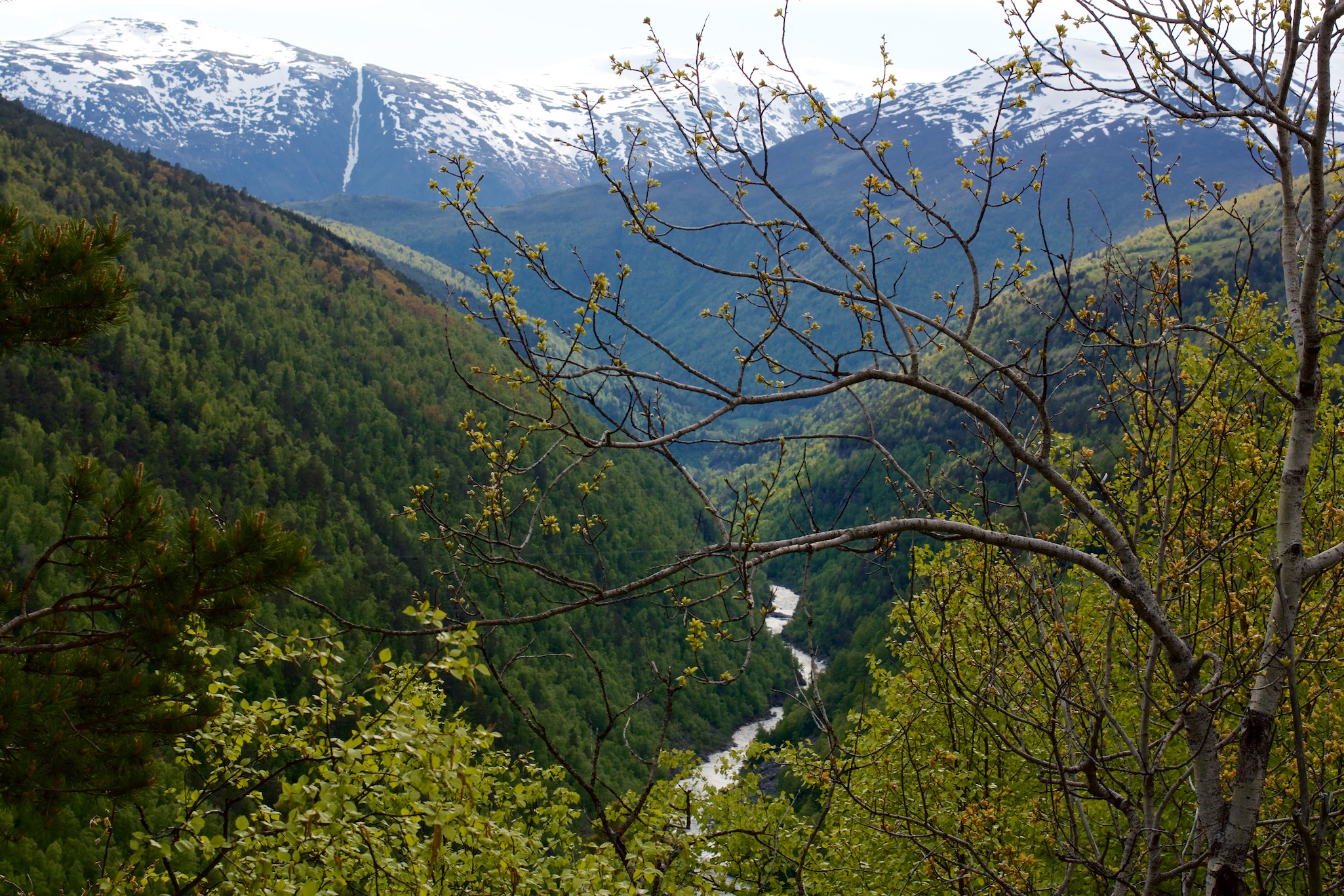 Valley and Mountains in Loenset, Norway