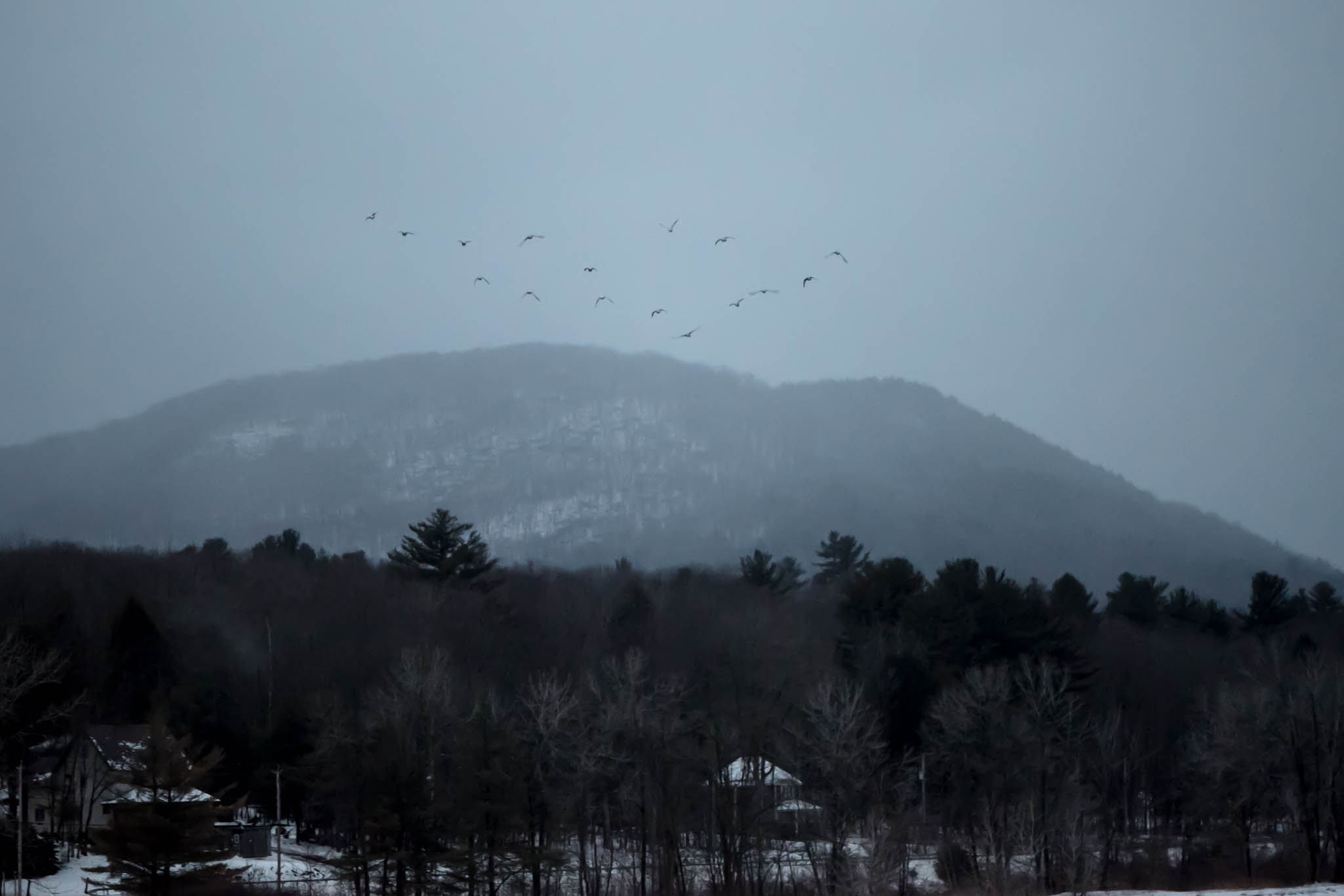 Birds Flying over Frozen Lake Sacandaca in Northville, New York, USA
