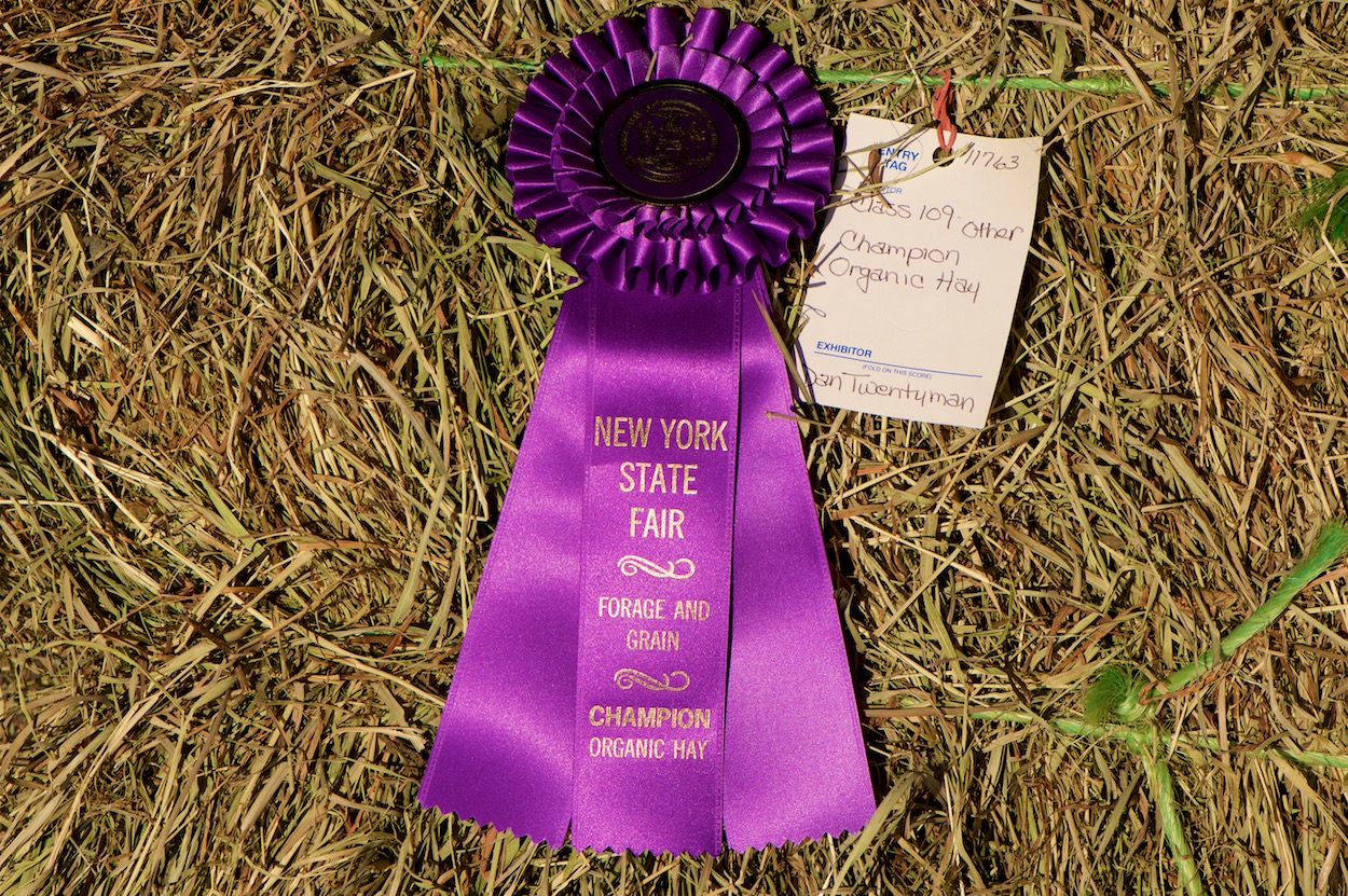 Ribbon Winning Grain at the New York State Fair in Syracuse, New York