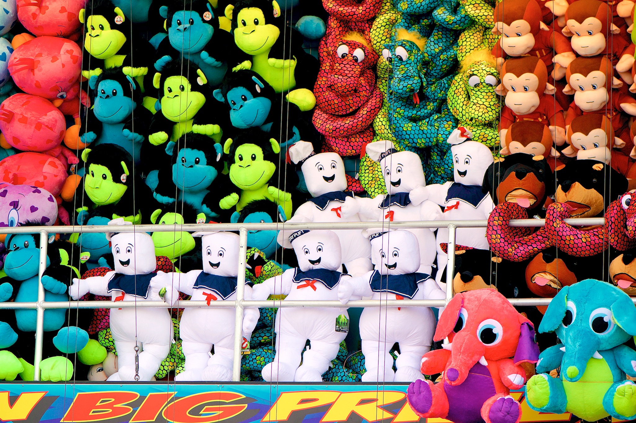 Prizes at the New York State Fair in Syracuse, New York